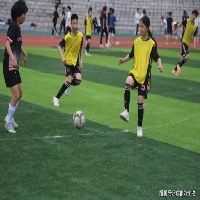 广厦队迎半决赛关键战全力以赴